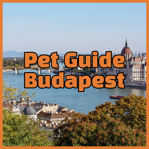 Budapest Hotel Pet Policies A Quick Guide