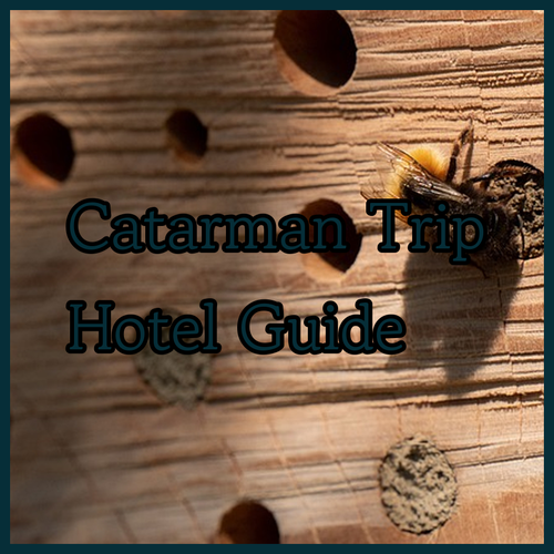 Planning a Trip to Catarman? Your Hotel Guide Awaits!