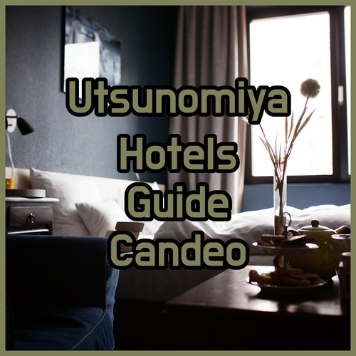 Planning a Trip to Utsunomiya? Your Guide to Candeo, Four Points, and MyStays Hotels