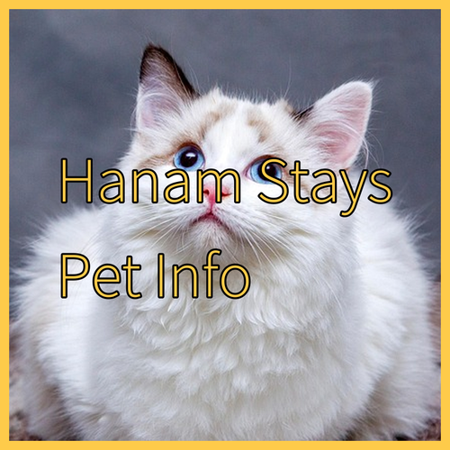 Hanam Accommodation Options.. A Guide to Age Restrictions and Pet Policies!