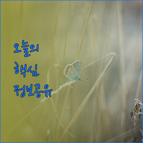 태국 코리페 리조트 선택 가이드 마운틴 벨라 비스타 바린 비치 장단점 총정리..