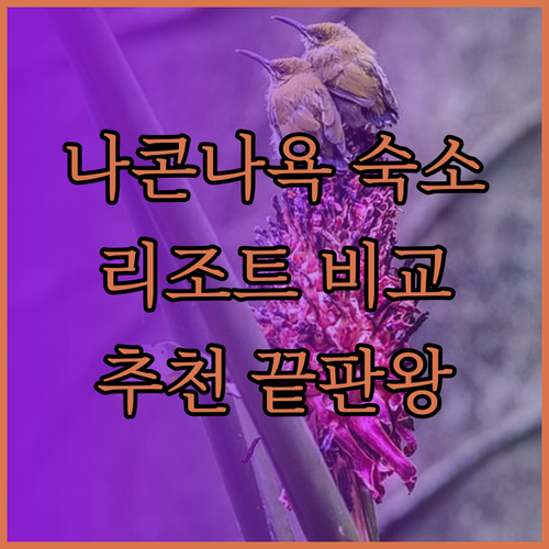 태국 나콘나욕 숙소 고민 끝! 아트 라이스 리조트와 노스 호텔, 반 촘푸 리조트 비교 분석!