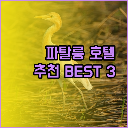 파탈룽 여행 호텔 추천 세 곳 비교 분석 최고의 선택은?