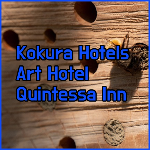Discover Kokura’s Best Hotels! Art Hotel Kokura, Quintessa Hotel, and Nishitetsu Inn Await!
