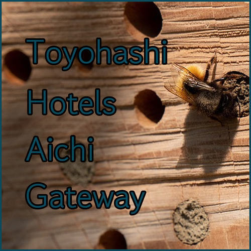 Toyohashi Hotels.. Your Gateway to Aichi Prefecture..