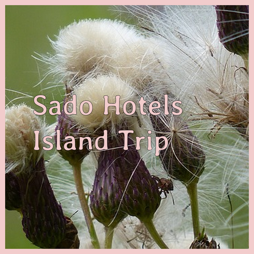 My Sado Island Hotel Adventure Which One Should I Choose?