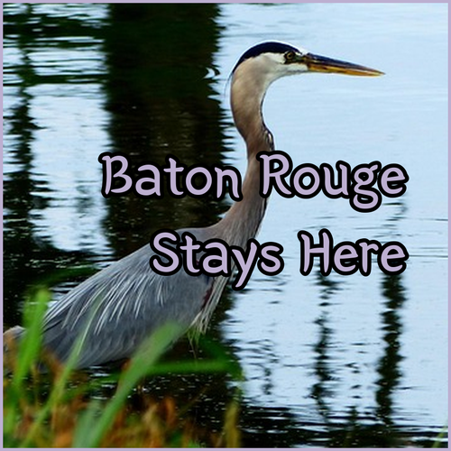 Explore Baton Rouge Accommodations.. A Look at Top Hotels?