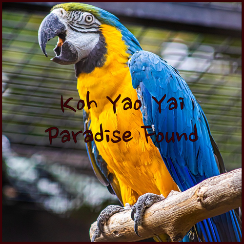 Unwind in Paradise.. Explore the Best Koh Yao Yai Resorts..