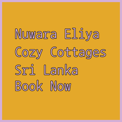 Nuwara Eliya Accommodation.. A Guide to Cozy Cottages..