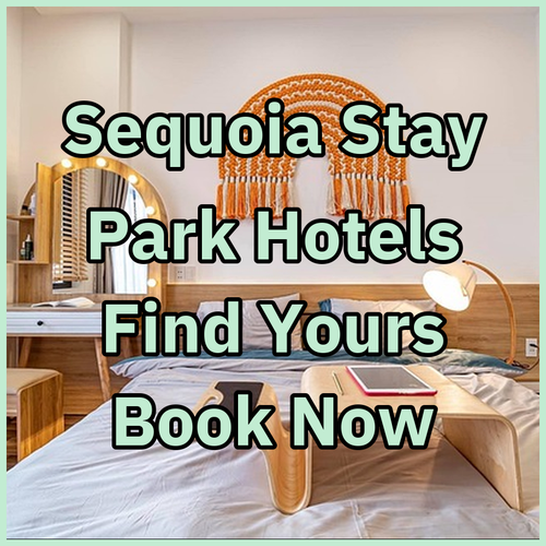 Sequoia National Park Hotels Which One Suits You?