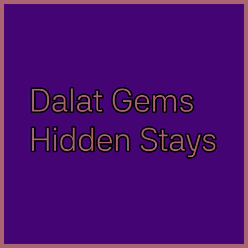 Discover Dalat’s Hidden Gems.. D Home Homestays!