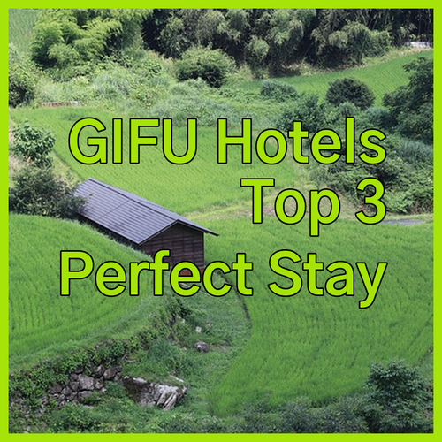 Gifu Hotels.. Uncover Your Perfect Stay? Three Top Choices!