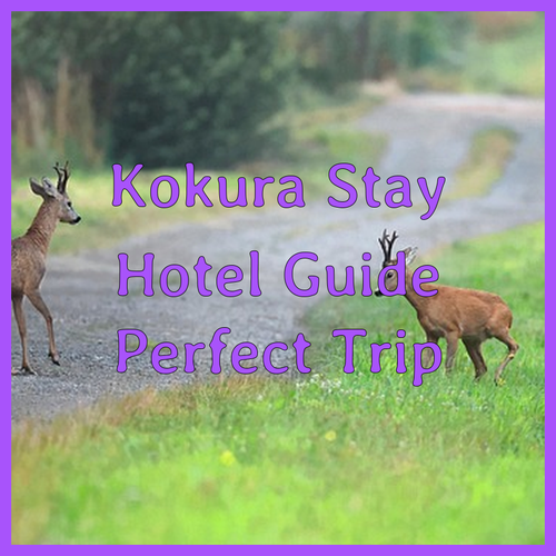 Kokura Station Hotels.. A Guide to Your Perfect Stay..