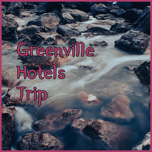 Planning a Greenville Trip? Hotel Options Await!
