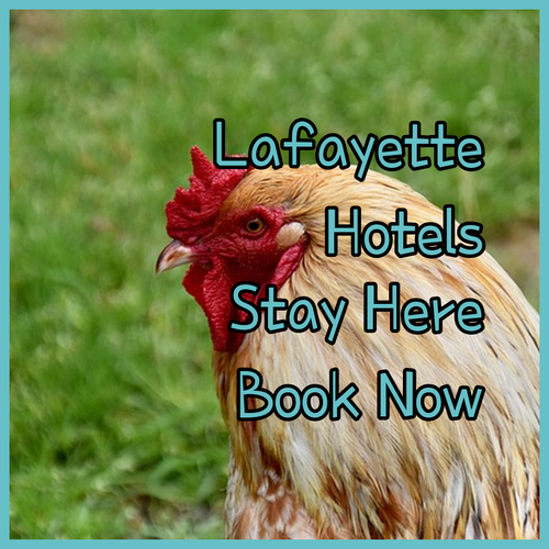 Lafayette Hotels.. Find Your Perfect Stay?