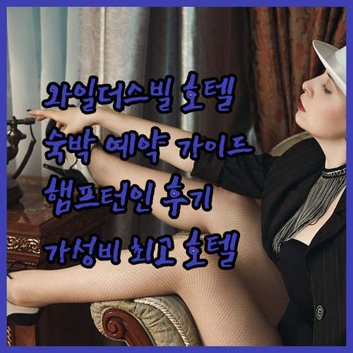 테네시 와일더스빌 호텔 예약 가이드.. 햄프턴 인, 아메리카스 베스트 밸류 인, 나이츠 인 후기와 함께