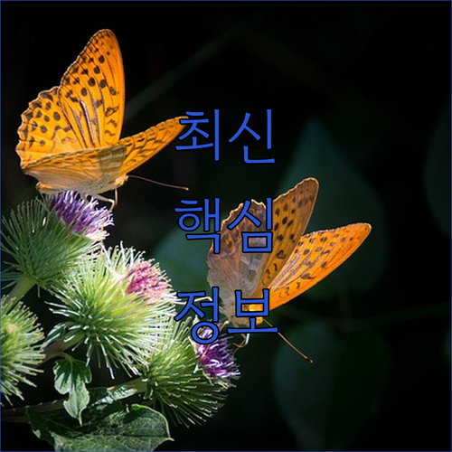 보라카이 호텔 추천 더 디스트릭트 보라카이 최고의 선택?