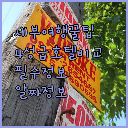 세부 여행 필수 정보 세부 4성급 호텔 특징 비교