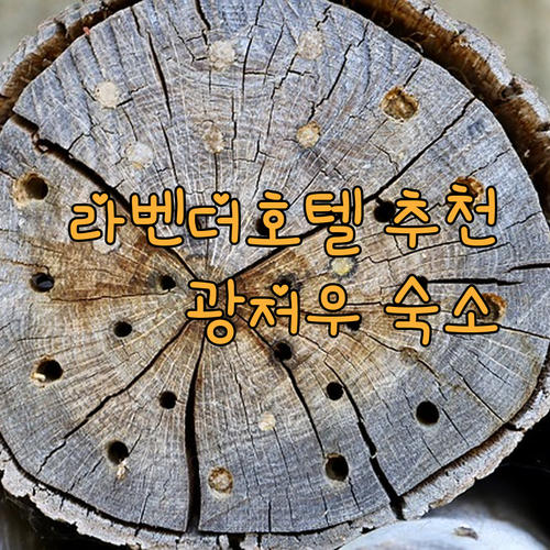 라벤더 호텔 광저우 지하철역 근처 숙소 추천 완벽 가이드
