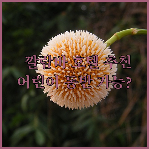 필리핀 캘람바 레드도어즈 호텔 추천 어린이 동반 가능 여부와 주의사항