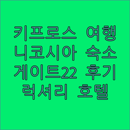 키프로스 니코시아 여행 게이트 트웬티 투 부티크 호텔 후기 포함