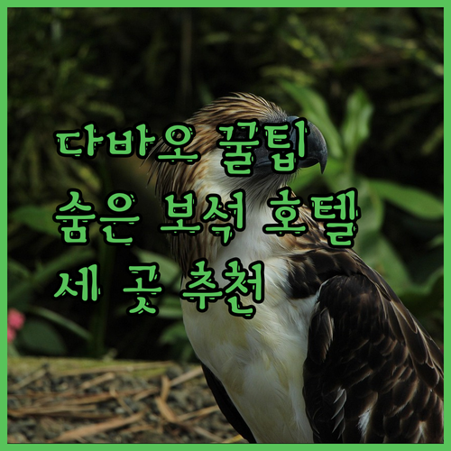 다바오 여행 필수 정보? 숨겨진 보석 같은 호텔 세 곳 추천