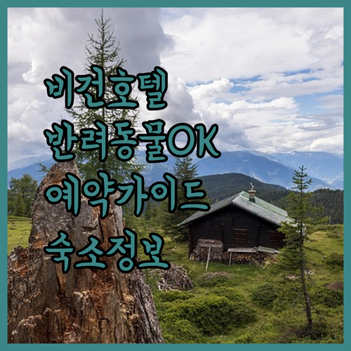 Happy Grey Vigan 호텔 반려동물 동반 가능? 숙소 정보와 예약 가이드