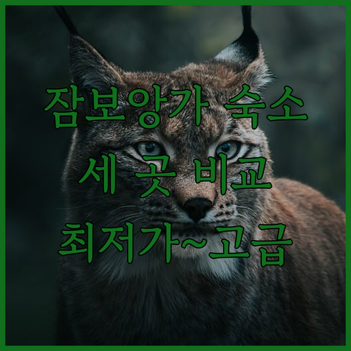 잠보앙가 숙소 추천 세 곳 비교분석 최저가부터 고급까지