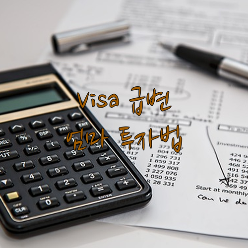 Visa, 테슬라 주가 급변! 30대 엄마의 주식 투자법