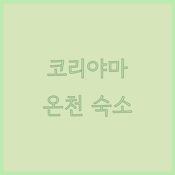 고리야마 온천 명소 도미 인 익스프레스 코리야마 내추럴 핫 스프링 방문기