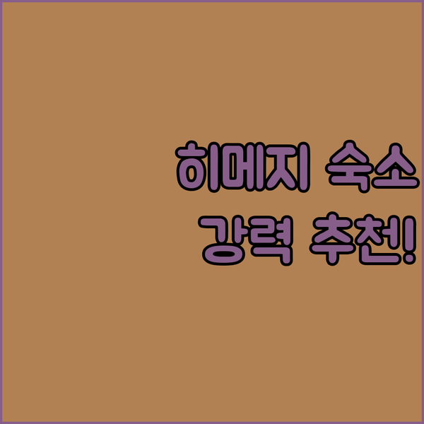 히메지 여행 필수 숙소 HotelおとぼけビーバーPREMIUM! 특별한 경험을 선사할 완벽한 선택?