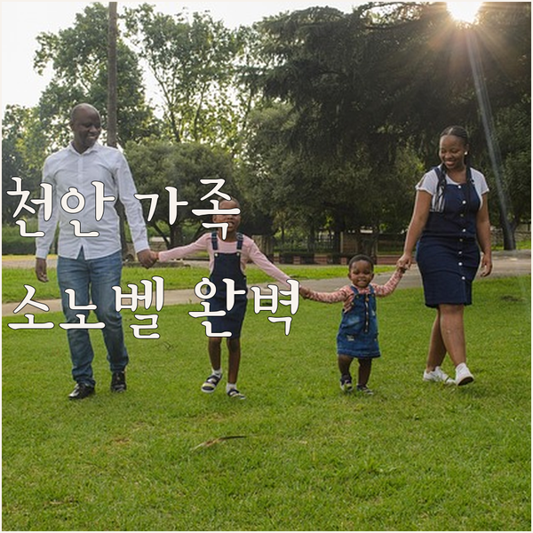 천안 가족 여행에 딱! 소노벨 천안 숙박 후기.. 워터파크, 객실, 편의시설 완벽 분석