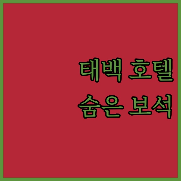 태백 호텔에서 즐기는 완벽한 휴가 소도동의 숨은 보석 같은 곳!