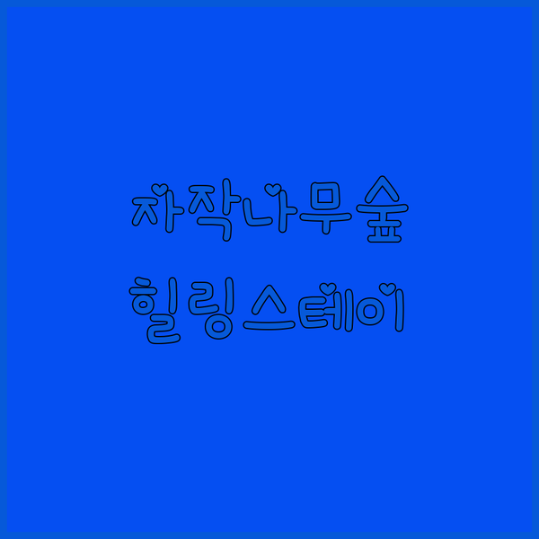 자작나무 숲 속 힐링 인제 자작나무스테이, 특별한 경험을 선사합니다