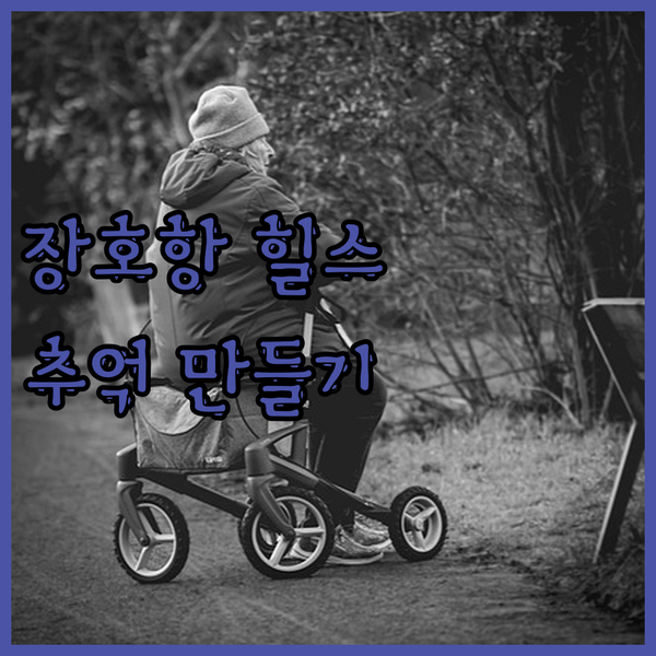 장호항 힐스노클비치 호텔! 삼척 근덕에서의 특별한 추억 만들기..