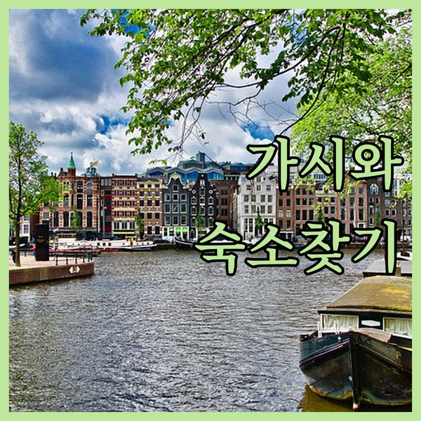 가시와 NOMAD 테이크 파이브, 나만의 특별한 숙소를 찾아서!