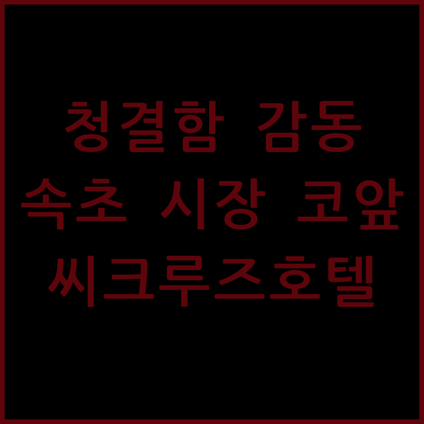 청결함에 감동! 속초 씨크루즈호텔, 속초 중앙 시장이 코앞!