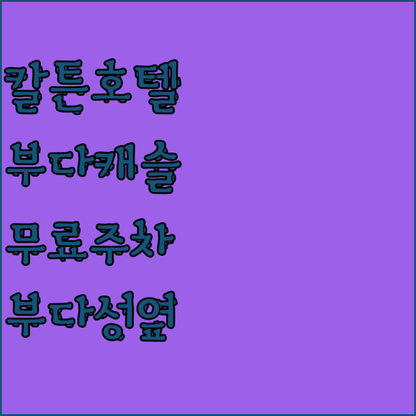 부다페스트 칼튼 호텔 부다 캐슬! 무료 주차와 부다 성 인접성까지 완벽한 선택