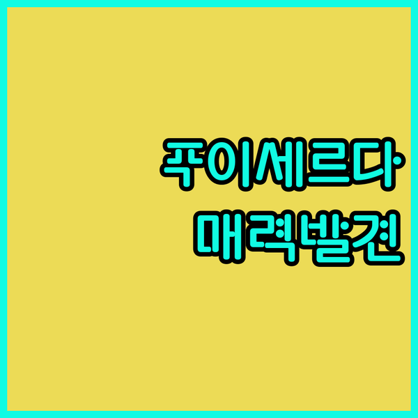 푸이세르다 CIM HOTEL BOUTIQUE 숨겨진 매력을 찾아서 떠나볼까요?
