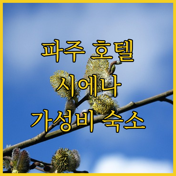 파주 호텔 시에나 숙박 후기 야당역 근처 가성비 숙소 추천