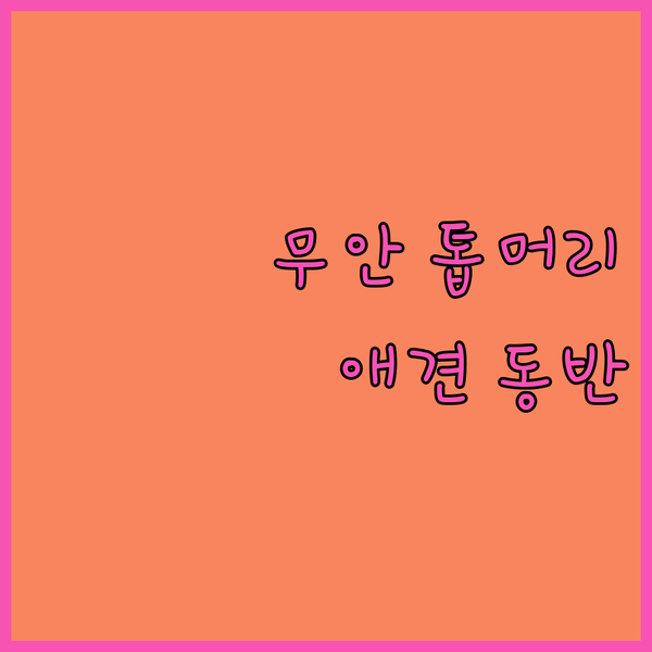 무안 톱머리해변🌊 소나무숲리조트펜션.. 애견 동반 가능한 객실 & 바비큐 시설 완비! 힐링 여행 떠나요