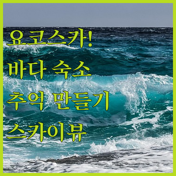 요코스카 스카이 그레이, 해변가 숙소에서 잊지 못할 추억을!