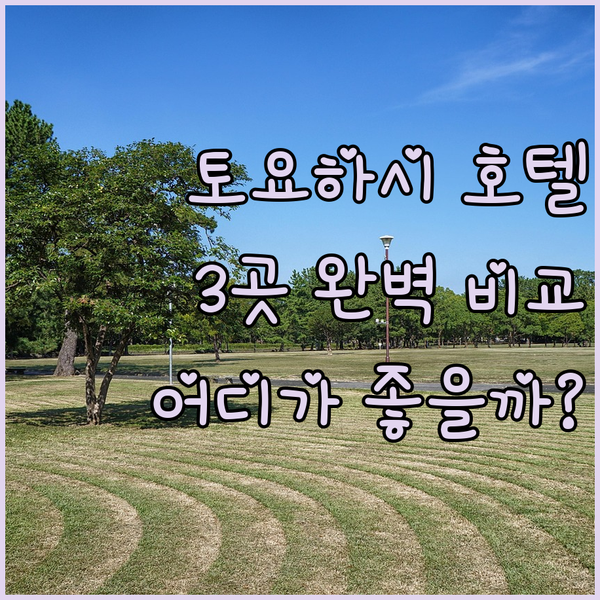토요하시 여행 호텔 아소시카, 도미 인, 컴포트 호텔 완벽 비교!
