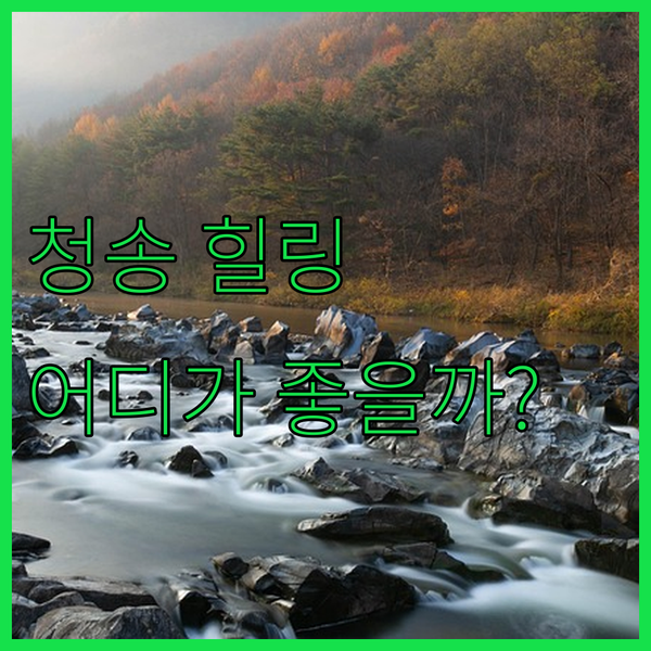 청송에서 힐링하기 소노벨 청송 vs 주왕산 온천 관광 호텔 어디가 좋을까?