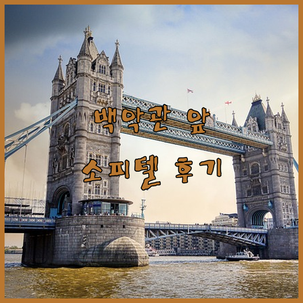 워싱턴 D.C. 여행 백악관 근처 소피텔 호텔 숙박 후기 완벽 위치