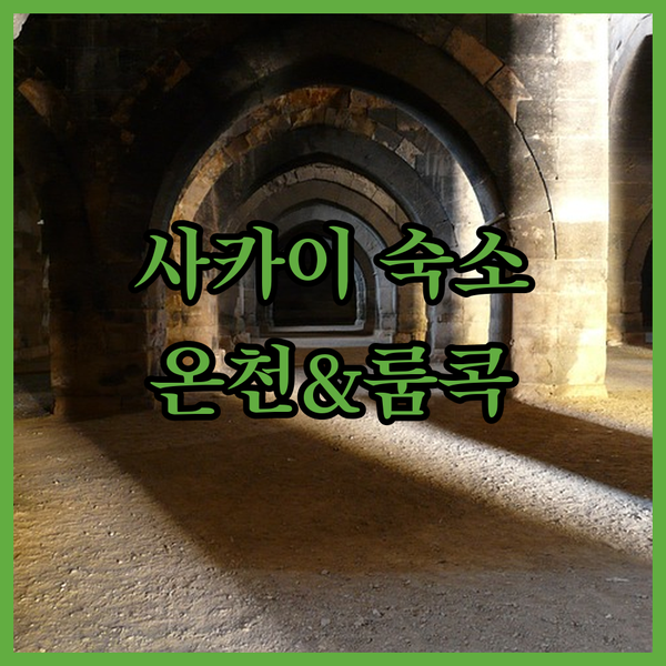 사카이 Taiheian에서 즐기는 특별한 휴식! 온천과 룸서비스로 완벽한 하루를!
