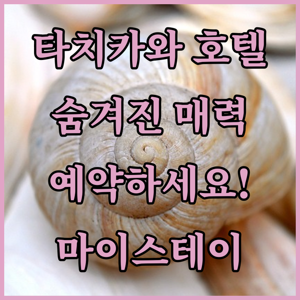 타치카와 마이스테이 호텔 숨겨진 매력 파헤치기 지금 예약하세요!