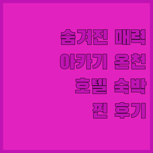 마에바시 아카기 온천 호텔 숙박 후기 숨겨진 일본의 매력을 찾아서