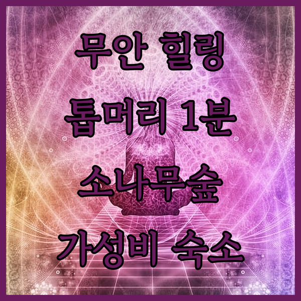 무안 소나무숲리조트펜션 톱머리 해변 1분 거리 힐링 숙소!