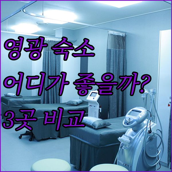 영광 숙소 고민 끝 하운드호텔 vs 더스타 vs 707미니호텔 완벽 비교